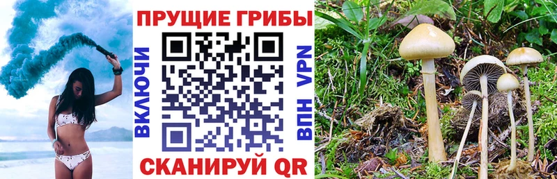 Псилоцибиновые грибы мицелий  Ишим 