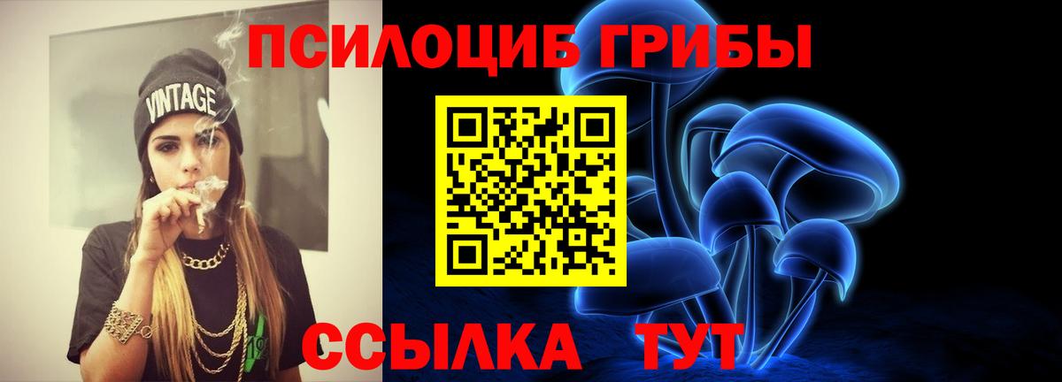где продают   Галлюциногенные грибы Magic Shrooms  Ишим  Вход с VPN  Псилоцибиновые грибы прущие грибы 